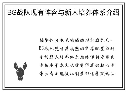 BG战队现有阵容与新人培养体系介绍